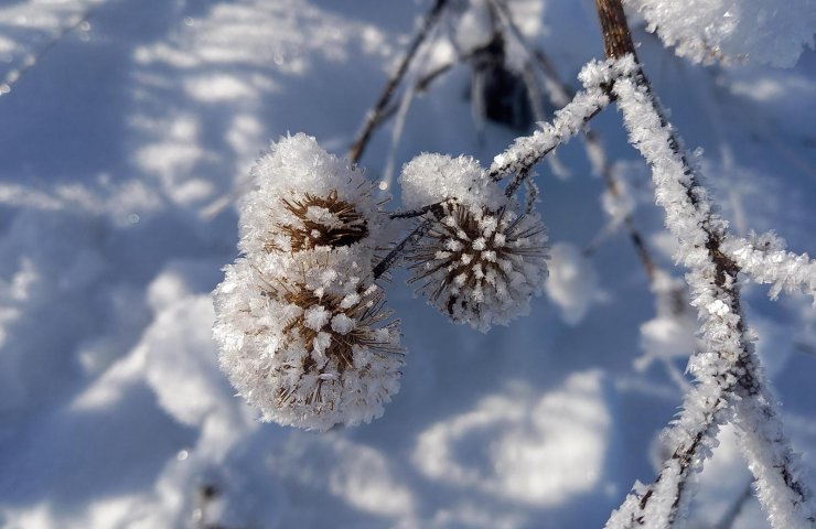 Winterimpressionen bei Hennemanns